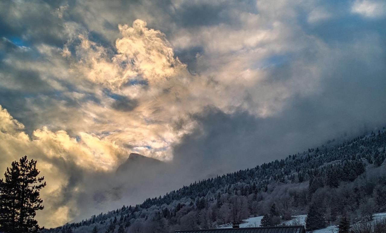 Appartement De Plain-Pied En Montagne Avec Vue Merveilleuse Sur Le Massif De Belledonne Saint Bernard du Touvet Exteriör bild